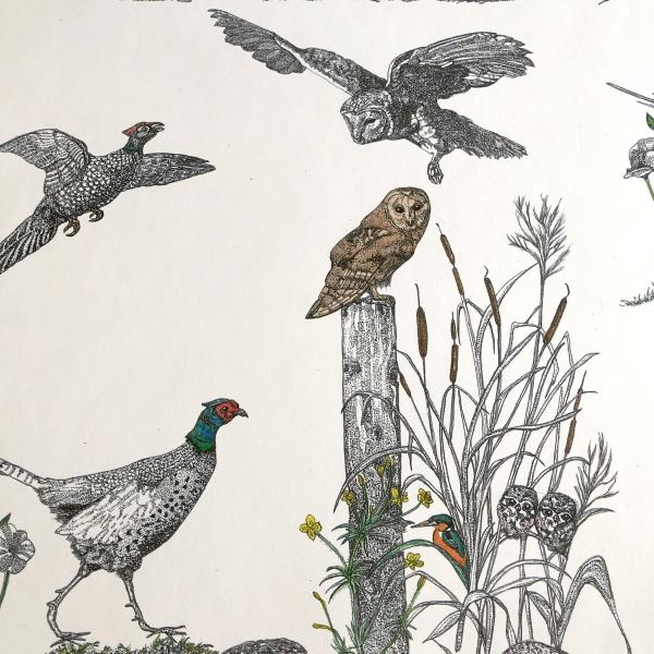 Birds in a unique wallpaper design