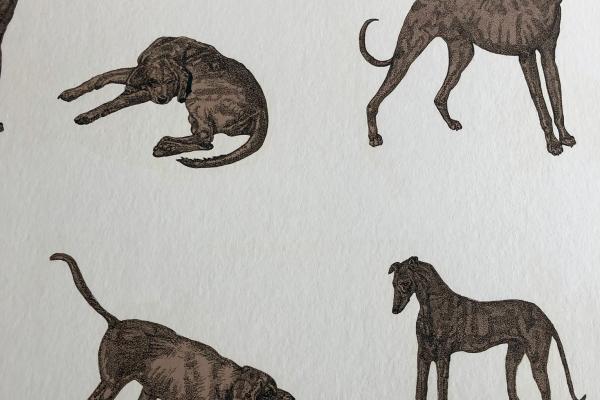 Dogs design in wallpaper
